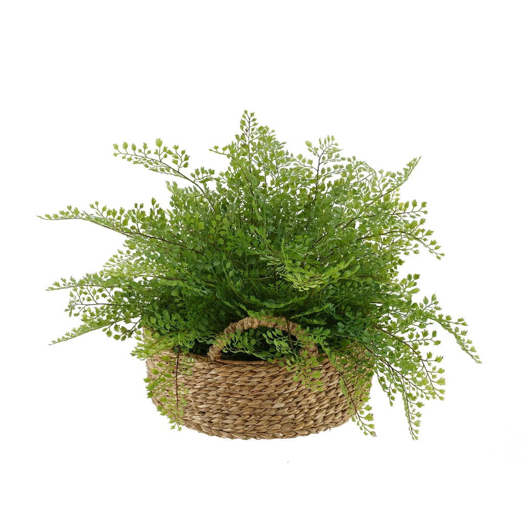 Faux Maidenhair Fern in Seagrass Tray Basket D310