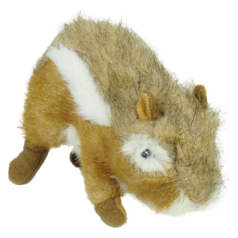 Dog Wildlife Chipmunk X362122