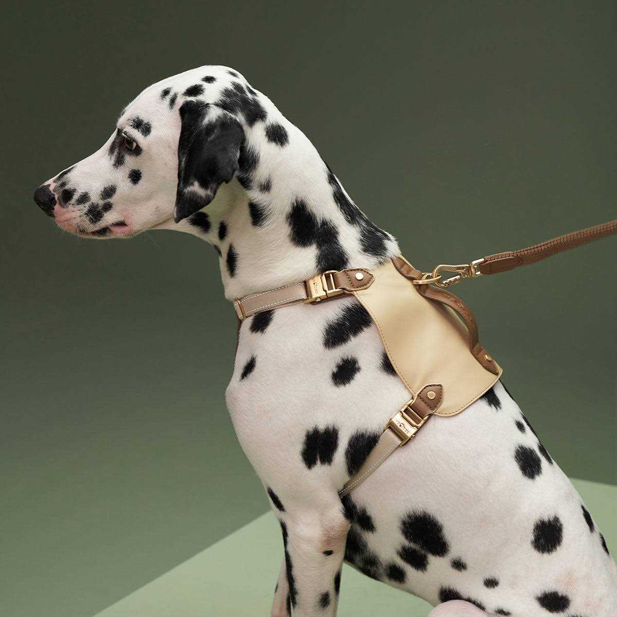 Saddle Pet Harness & Leash U85470