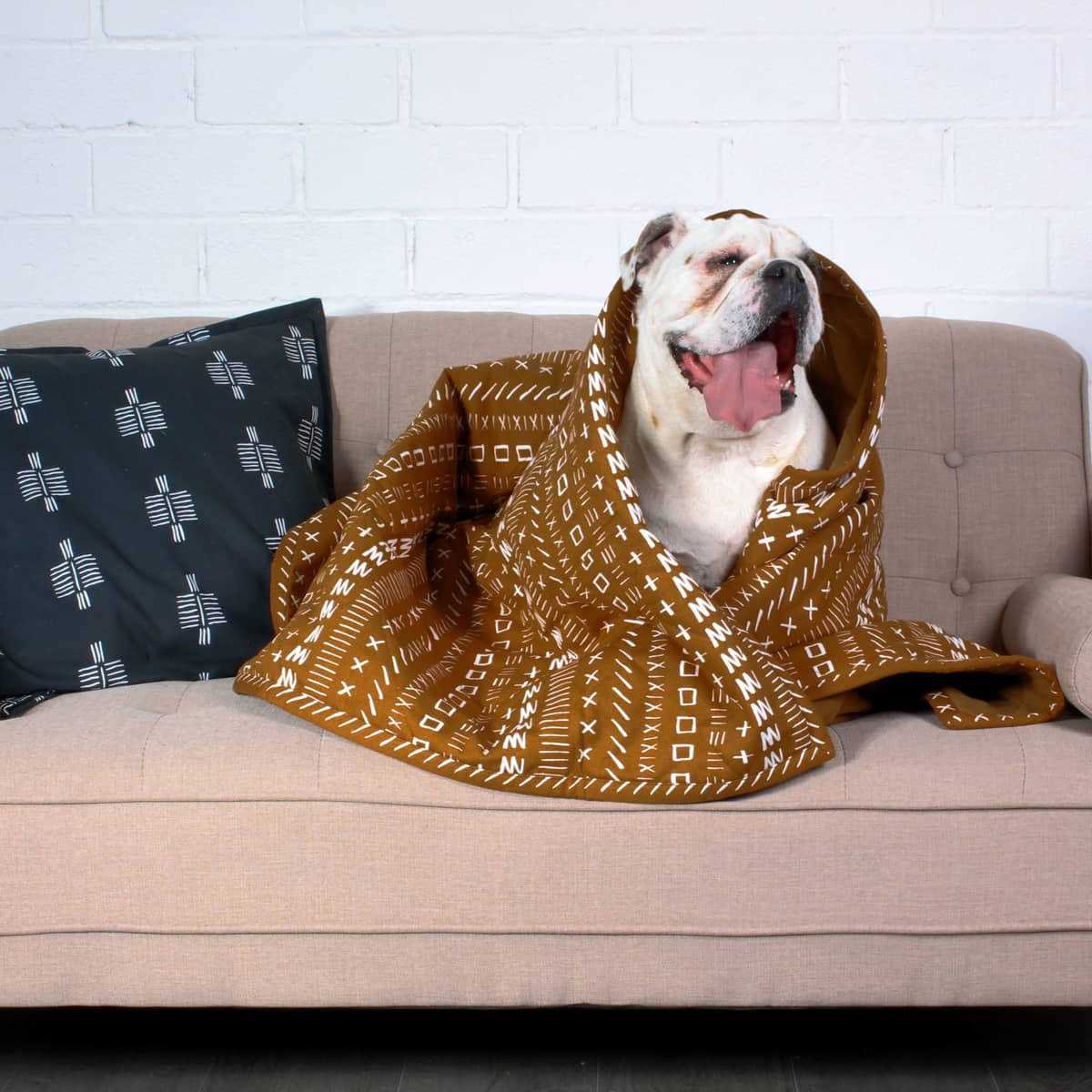 Blanket Q4560