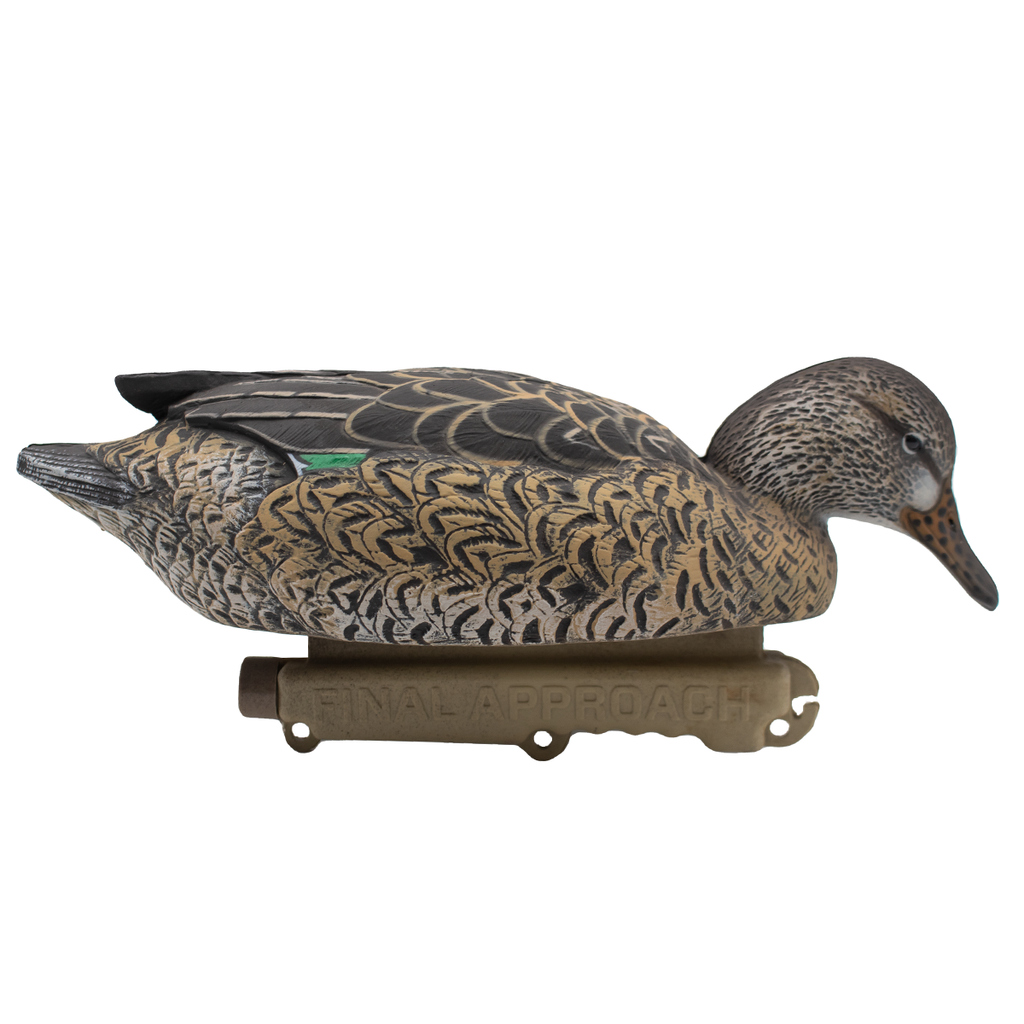 12 Pack Greenwing Teal Floater Duck Decoys V955345