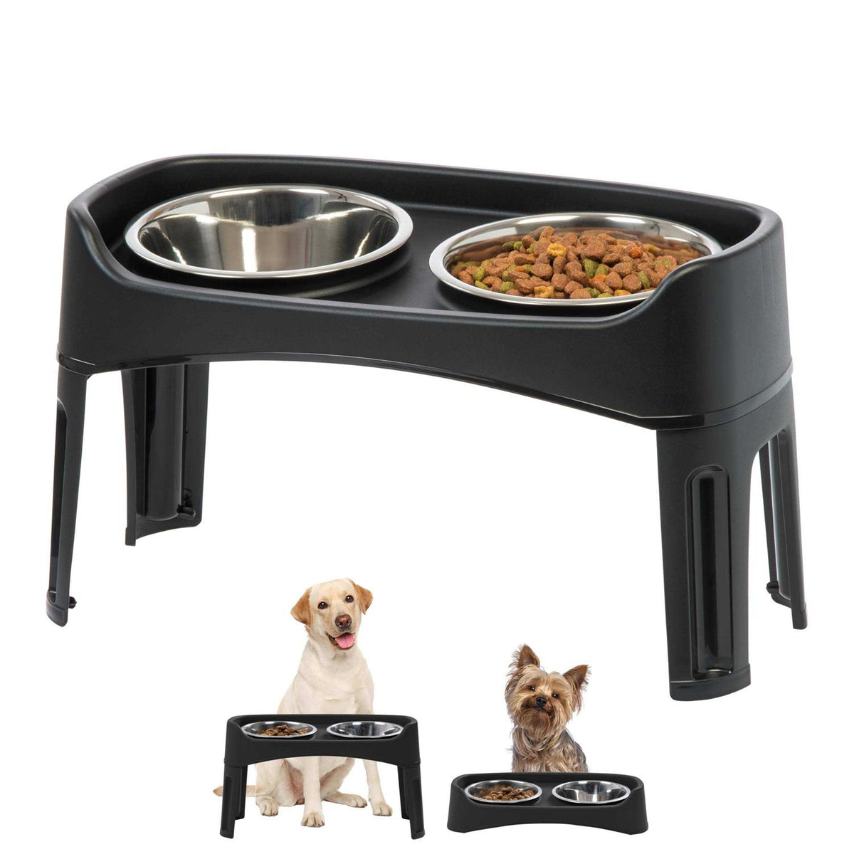 12 inch Elevated Dog Bowls with 2 Qt Stainless Steel Bowls B173
