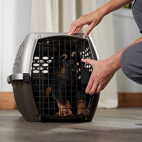 Medium Gray Pet Carrier R510415