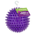 Squeaker Ball Dog Toy T677
