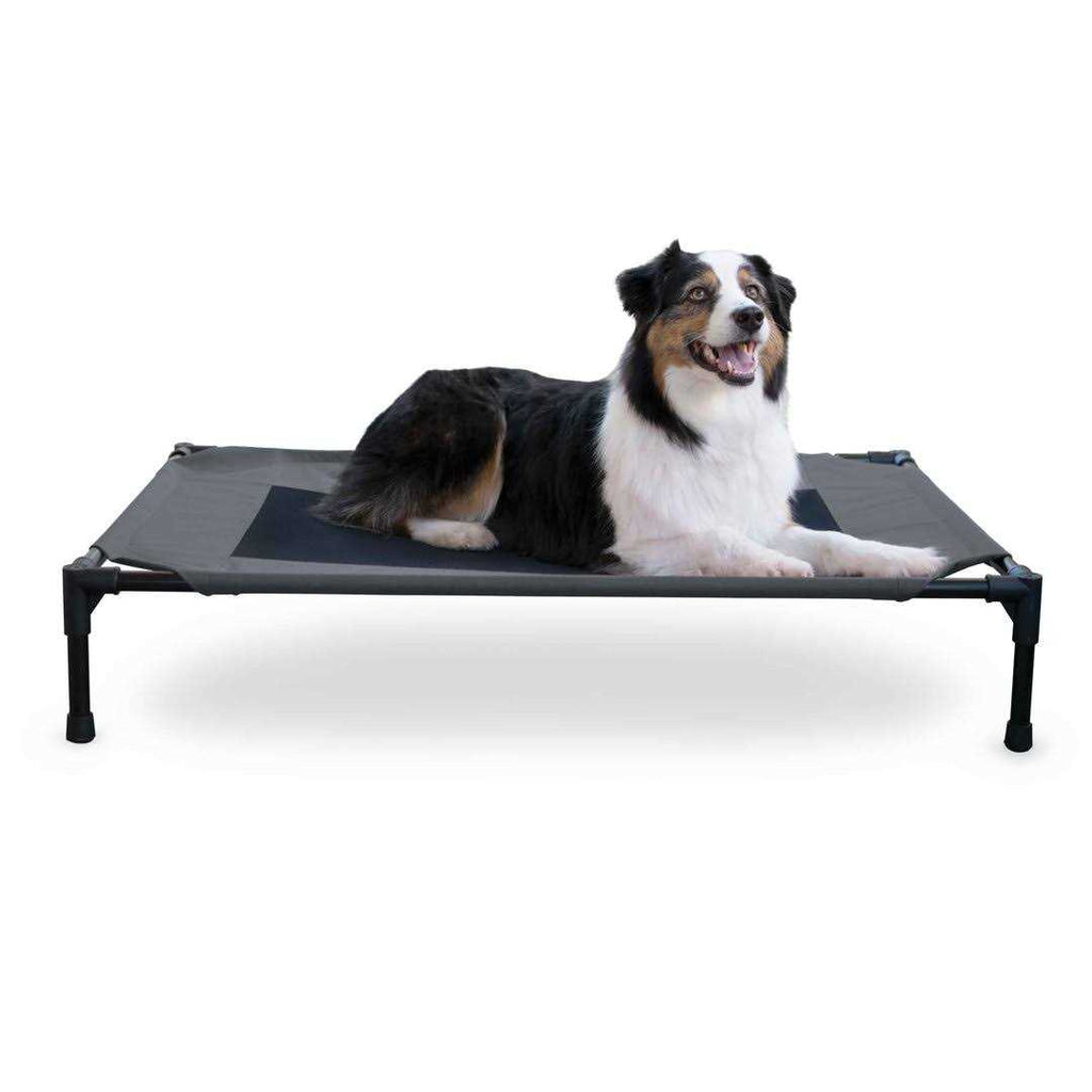 Elevated Pet Bed Y5484