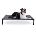 Elevated Pet Bed Y5484