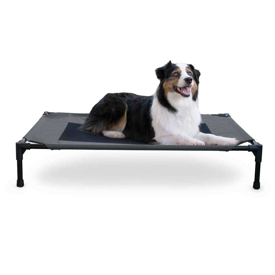 Elevated Pet Bed Y5484