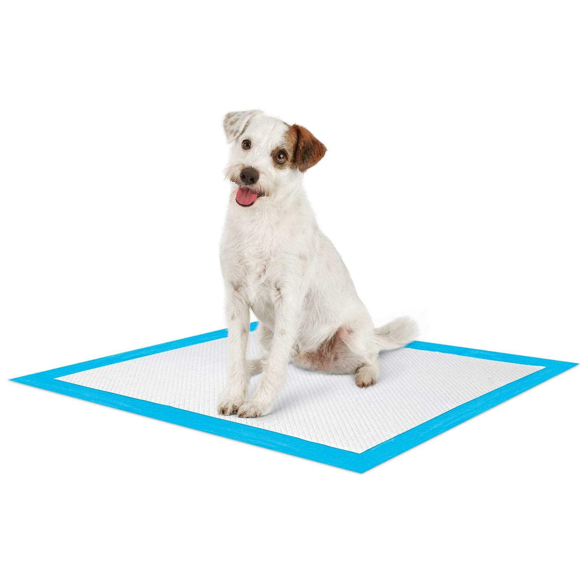 Quilted Potty Pads K24057