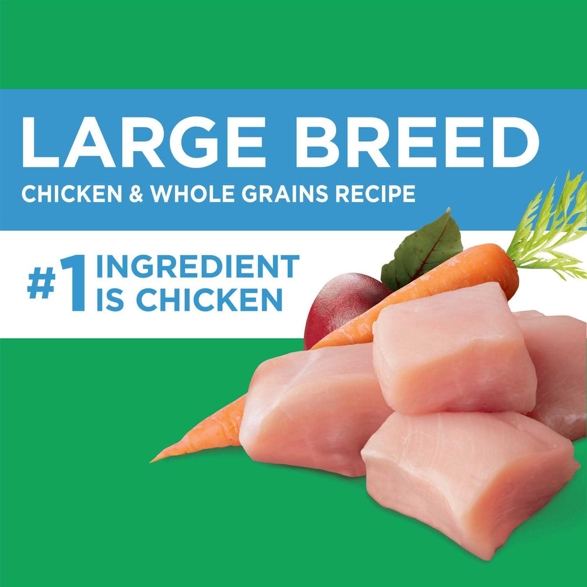 Chicken Dry Dog Food Y11874