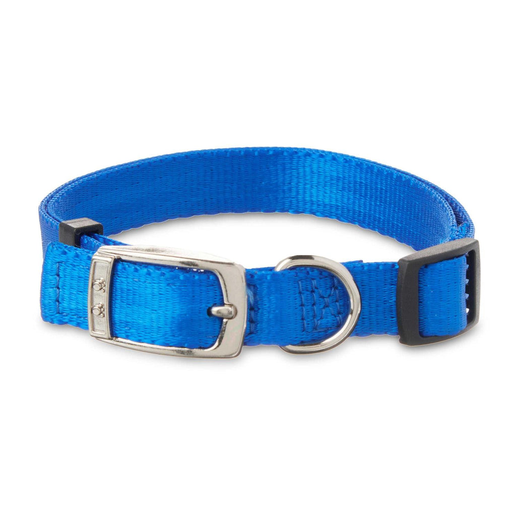 Solid Dog Collar with Metal Buckle R415666