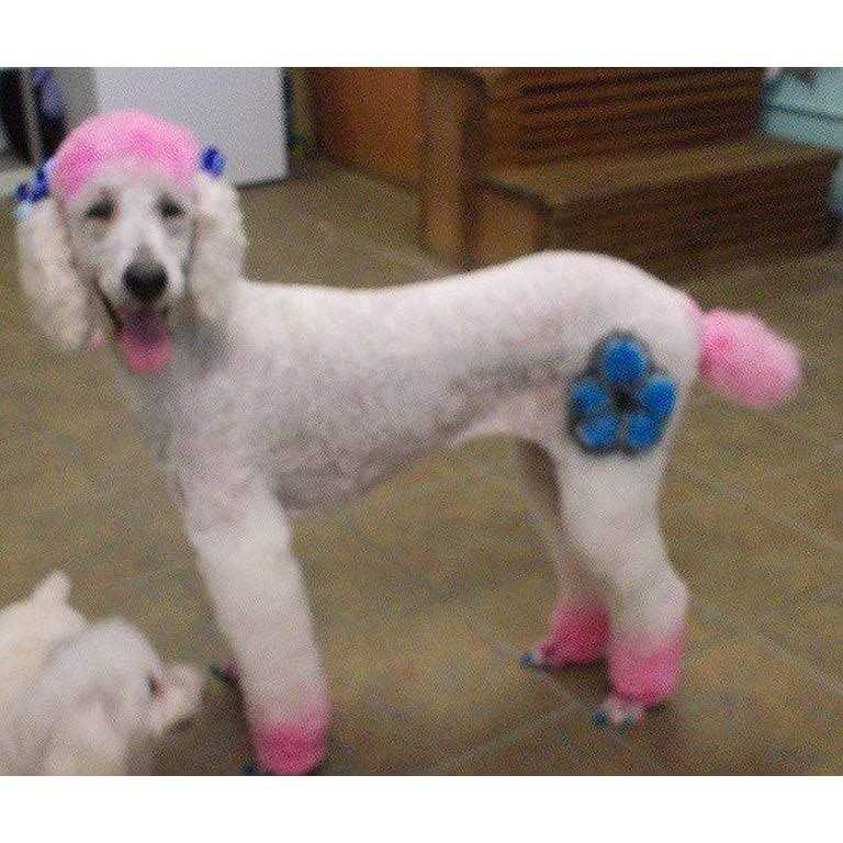 Pet Supplies B723