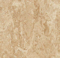 Marmoleum Composition Tile I71414