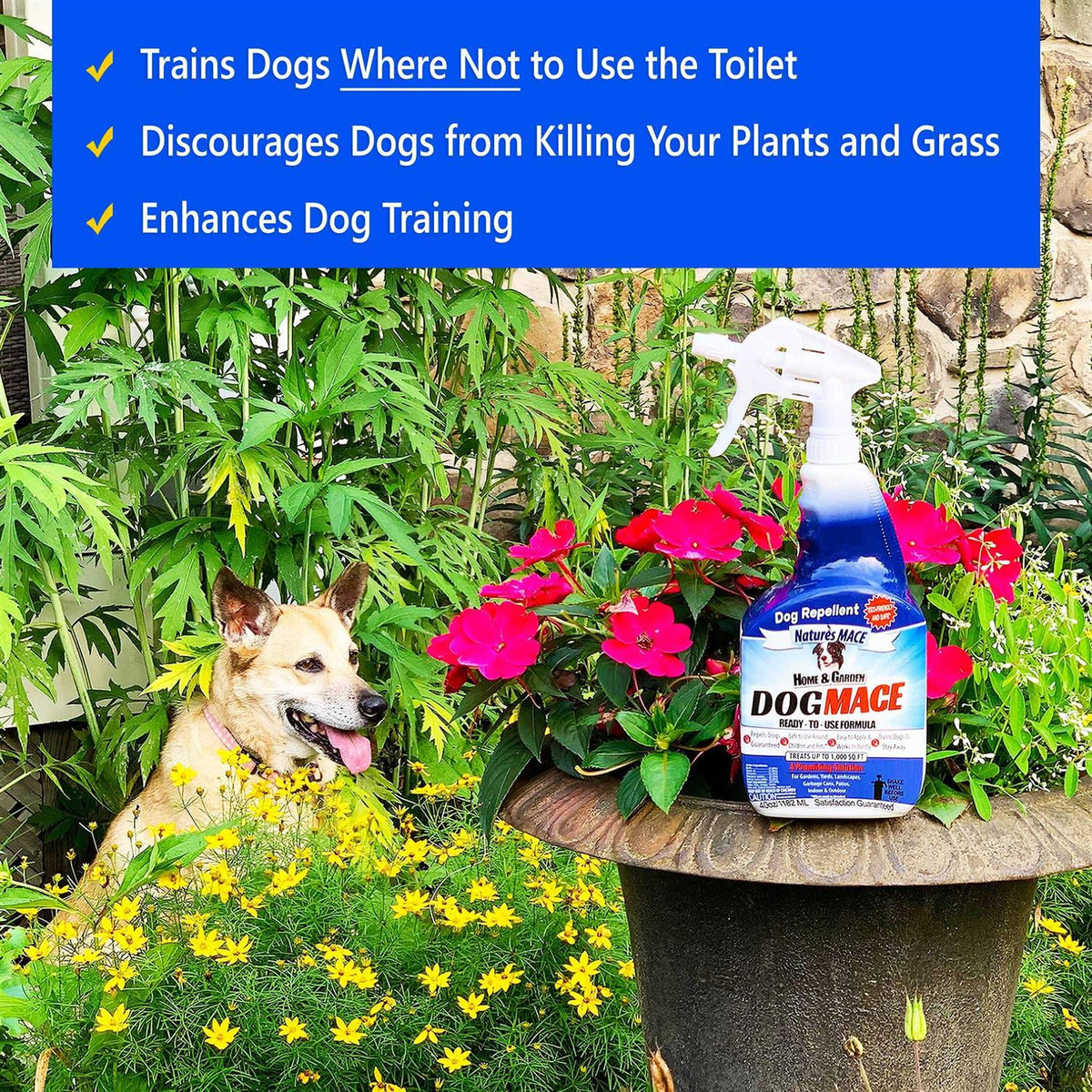 Dog Repellent and Training Tool E723805